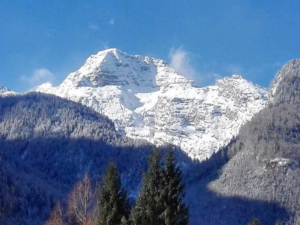 Pension Wildental Sankt Martin bei Lofer Buitenkant foto